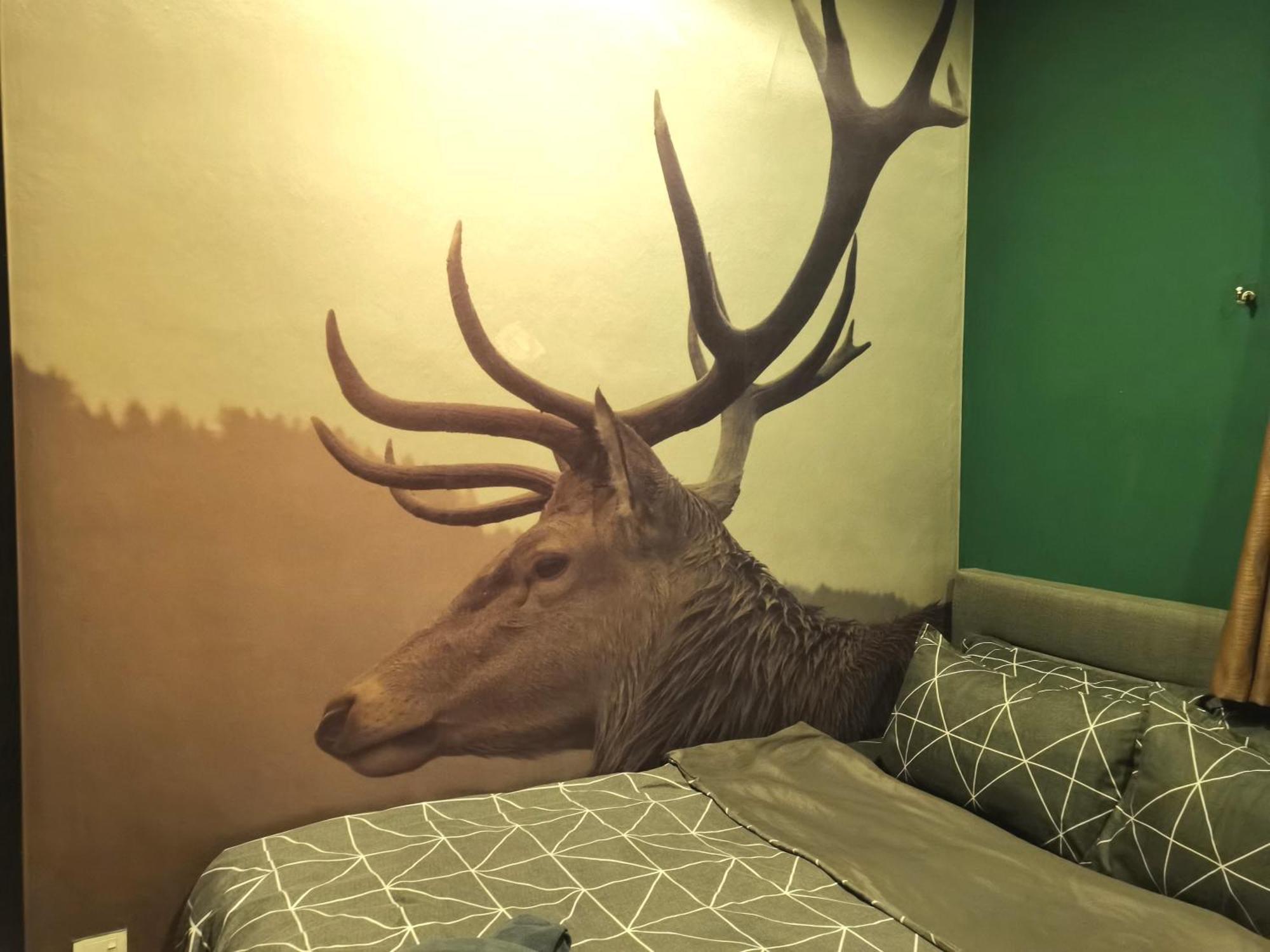 Cozy Forest Themed Homestay 4 Bedroom Куала-Лумпур Экстерьер фото